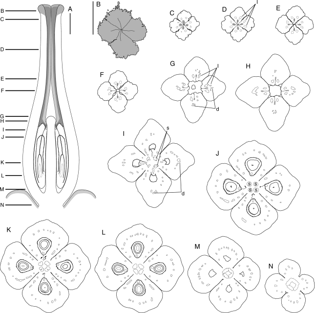 Fig. 5.