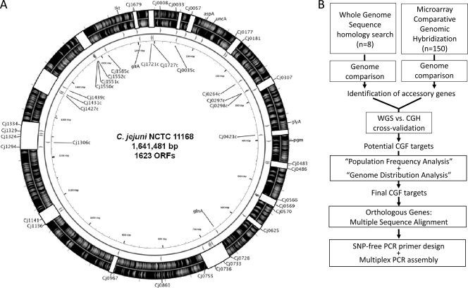 Fig 1