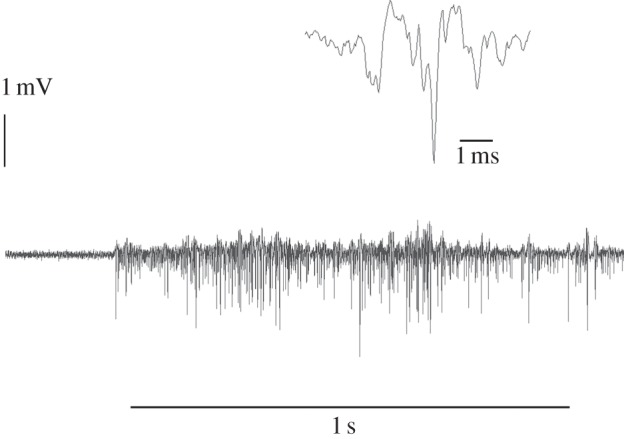 Figure 4.