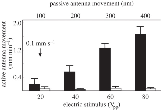 Figure 5.