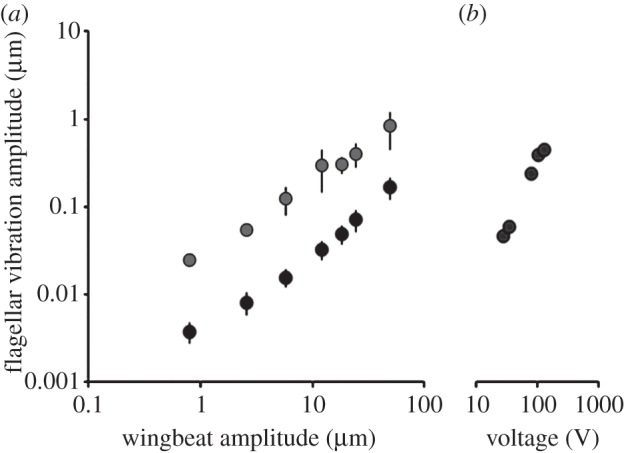 Figure 3.