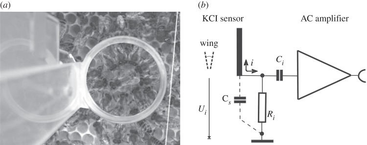 Figure 1.