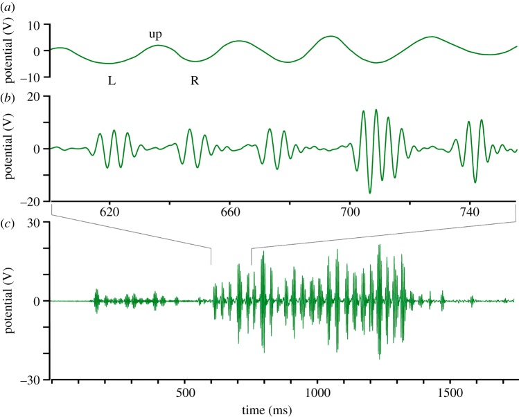 Figure 2.