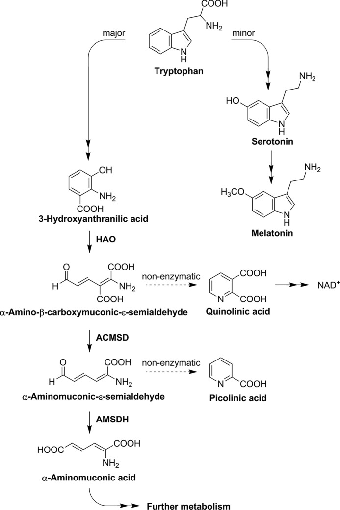 FIGURE 1.