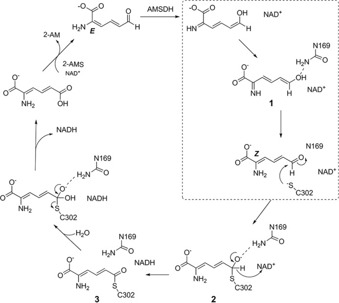 FIGURE 6.