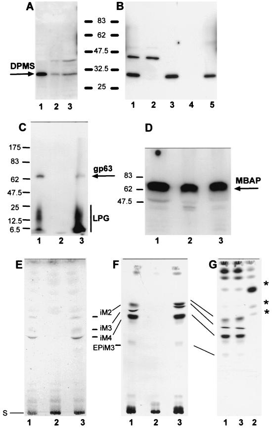 FIG. 9