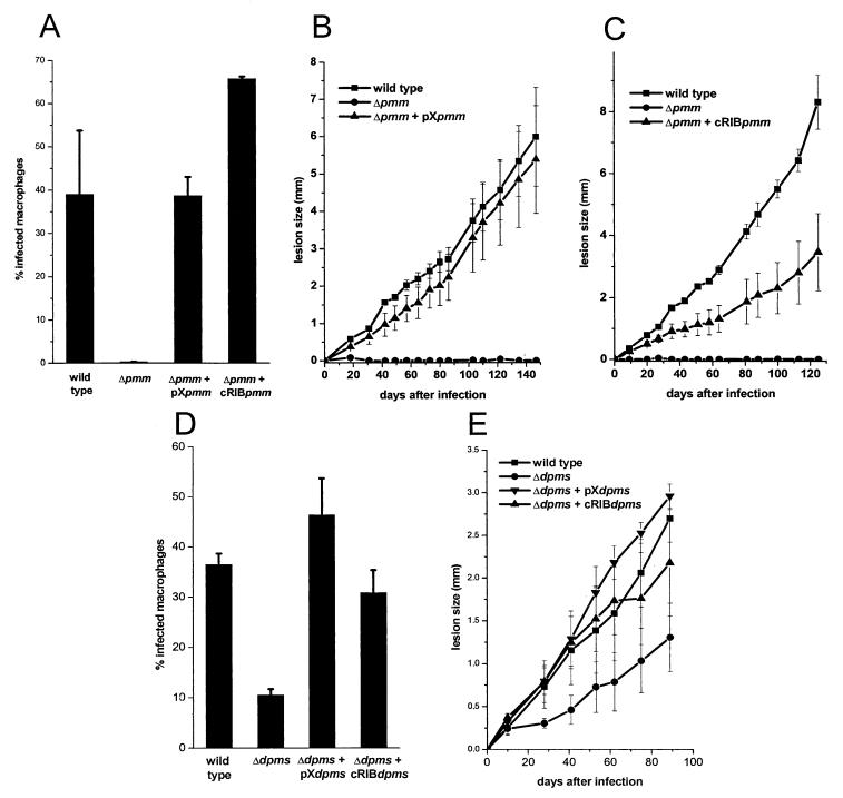 FIG. 11