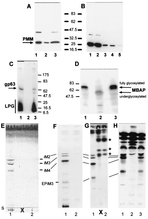 FIG. 5