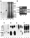 FIG. 8