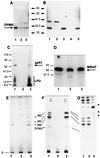 FIG. 9