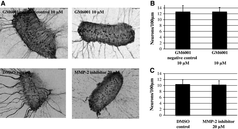 Fig. 6