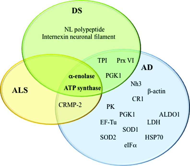 FIG. 6.