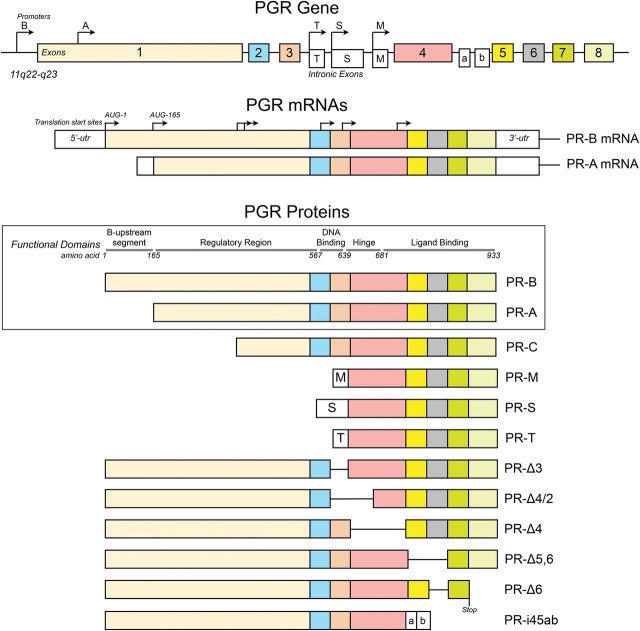 Figure 1