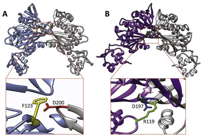 Fig. 3