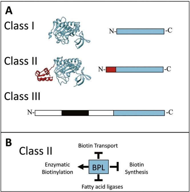 Fig. 2