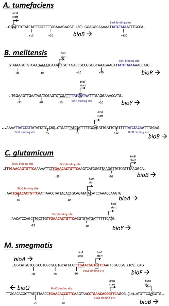 Fig. 6