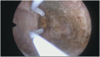 Fig. A16