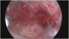 Fig. A1
