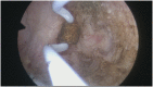 Fig. A15