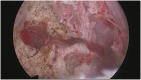 Fig. A3