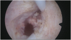 Fig. A9