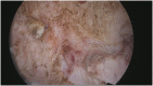 Fig. A7