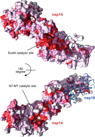 Fig. 6