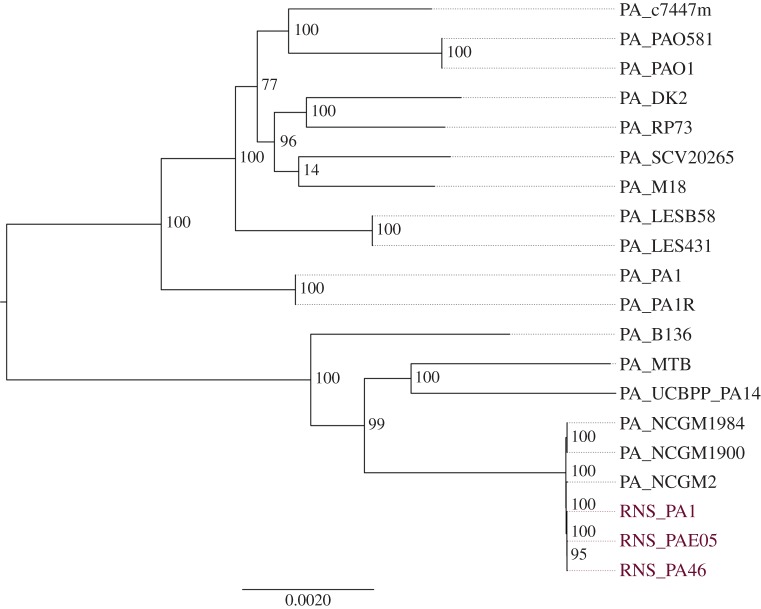 Figure 1.