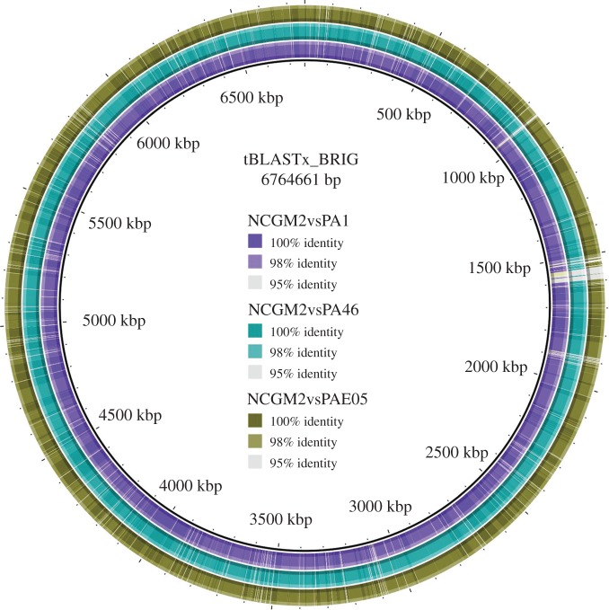 Figure 4.