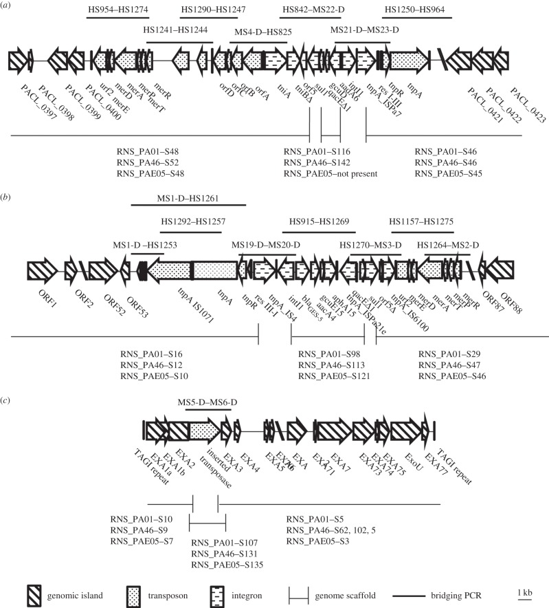 Figure 2.