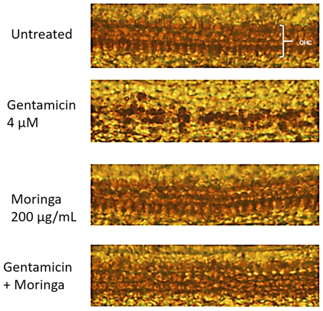 Figure 4: