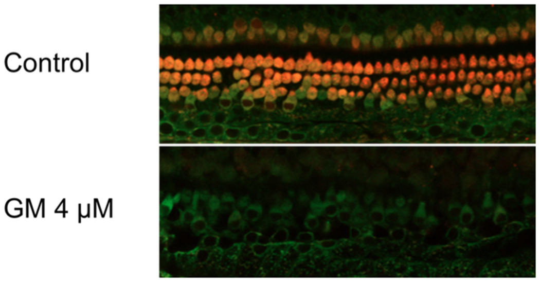Figure 1: