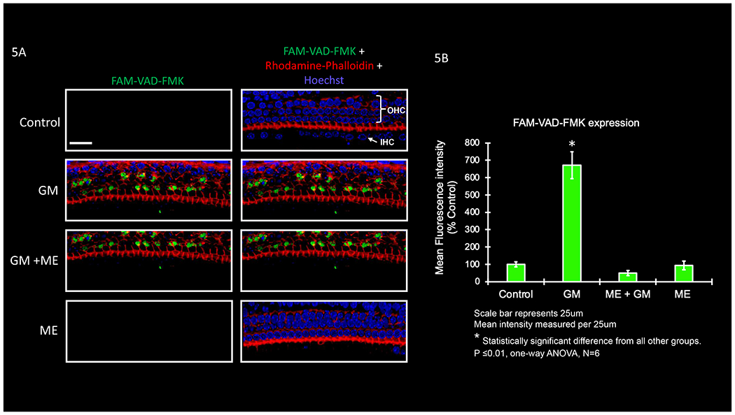 Figure 5: