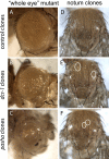 FIG. 6.