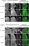 FIG. 5.