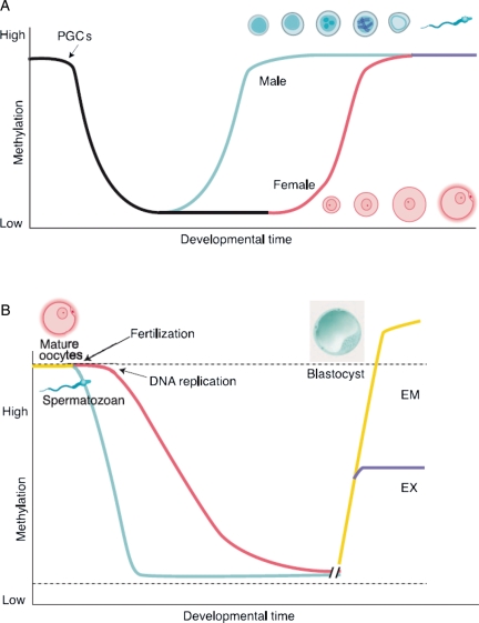 Figure 5