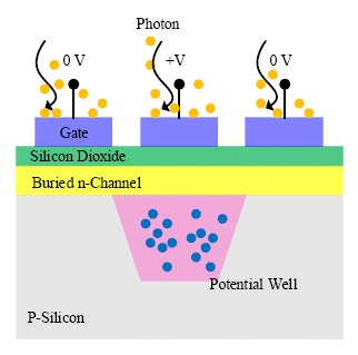 Figure 5.