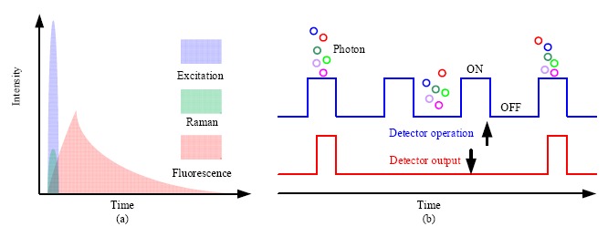 Figure 8.