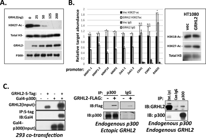 FIGURE 4: