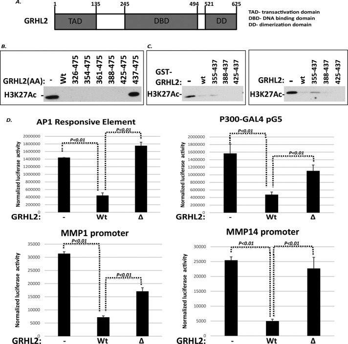 FIGURE 6: