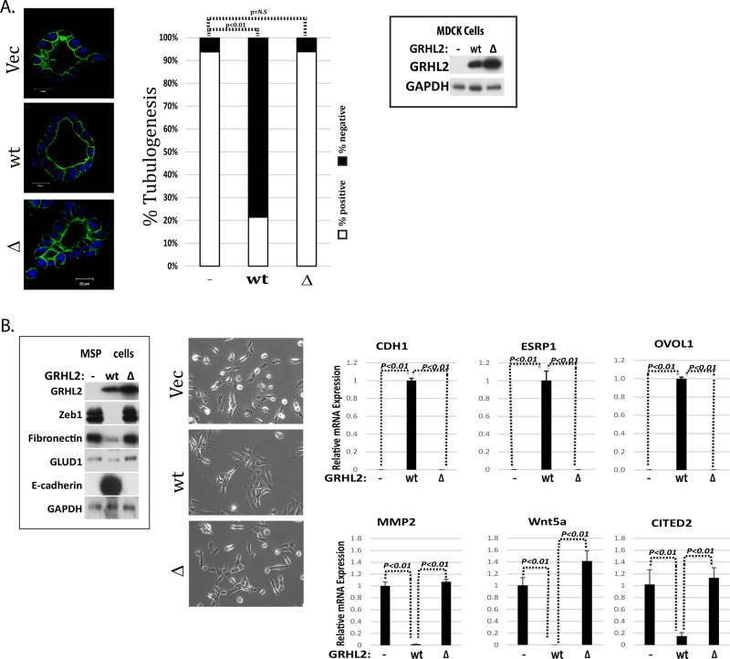 FIGURE 7: