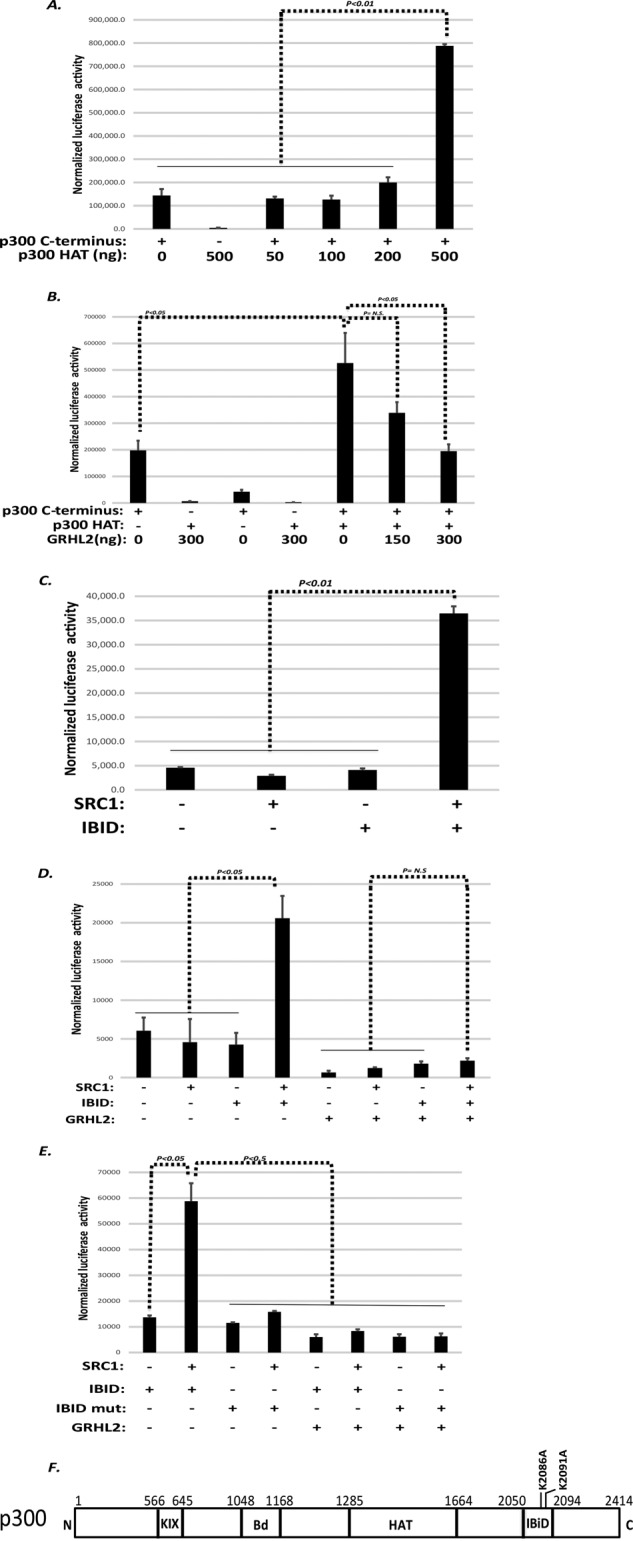 FIGURE 5: