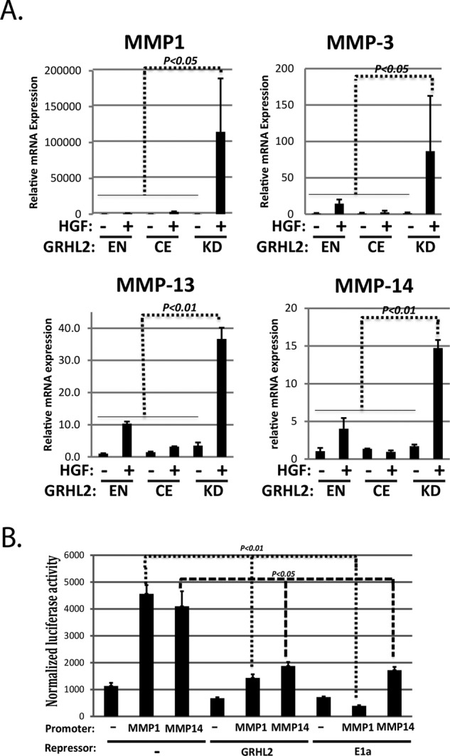 FIGURE 2: