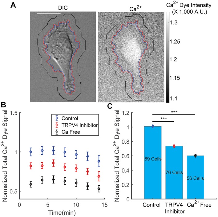 Fig. 4.