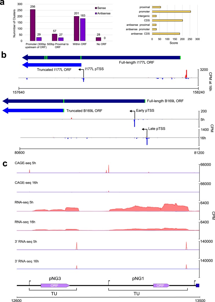 FIG 3