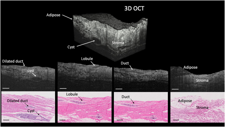 Fig. 4.