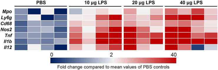 FIGURE 4.