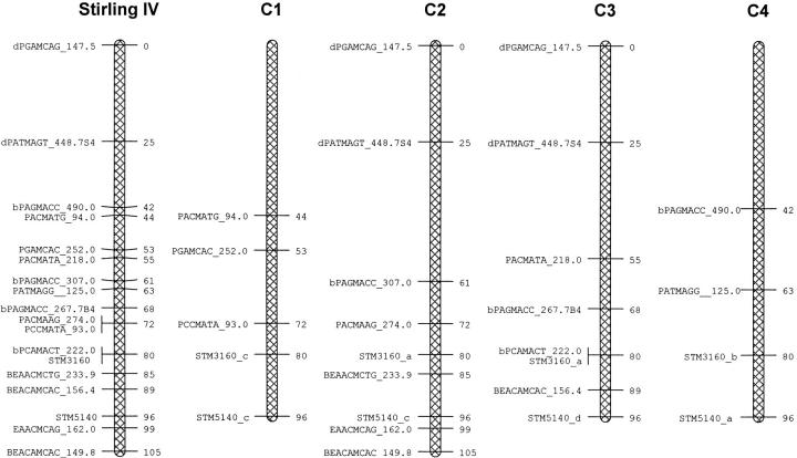 Figure 2.—