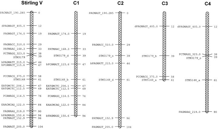 Figure 3.—