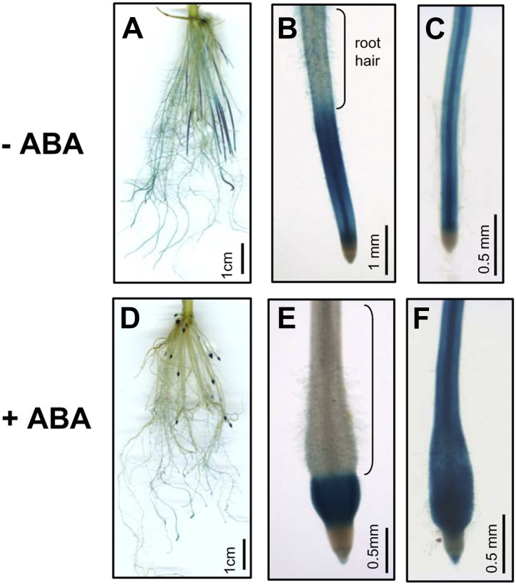 Figure 10.